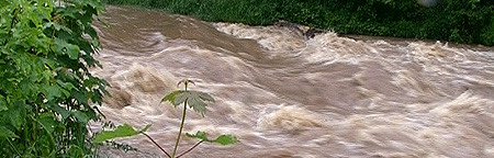 Hochwasser: Ammer bei Tübingen-Lustnau