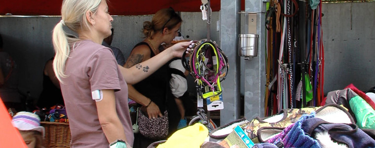 Riesenflohmarkt im Tierheim Reutlingen