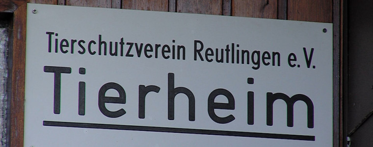 Tierheim Reutlingen